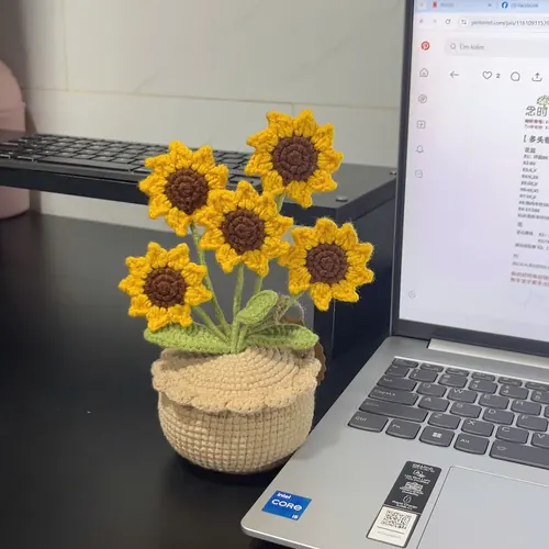 Chậu Hướng Dương