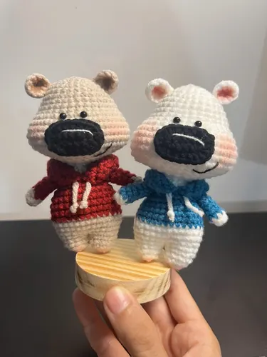 Đôi Gấu Hoodie